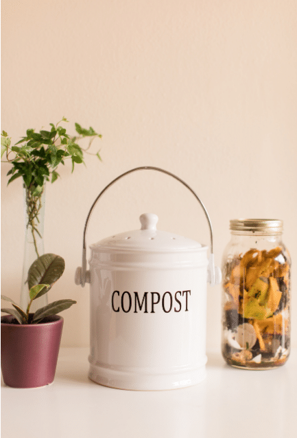 daably 10 Things You Can Easily Compost At Home - Daably